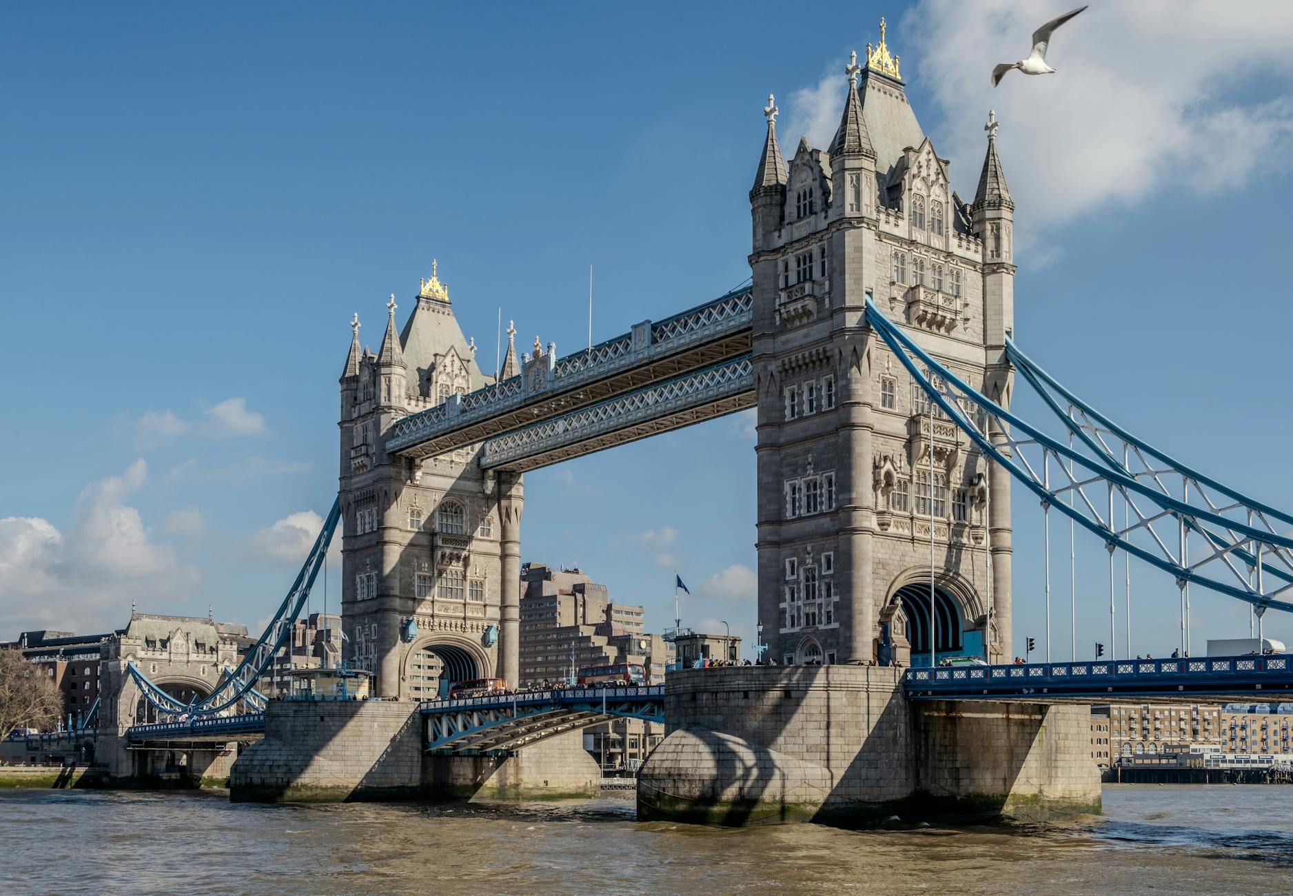 Most Tower Bridge w Londynie na tle błękitnego nieba z lecącą mewą