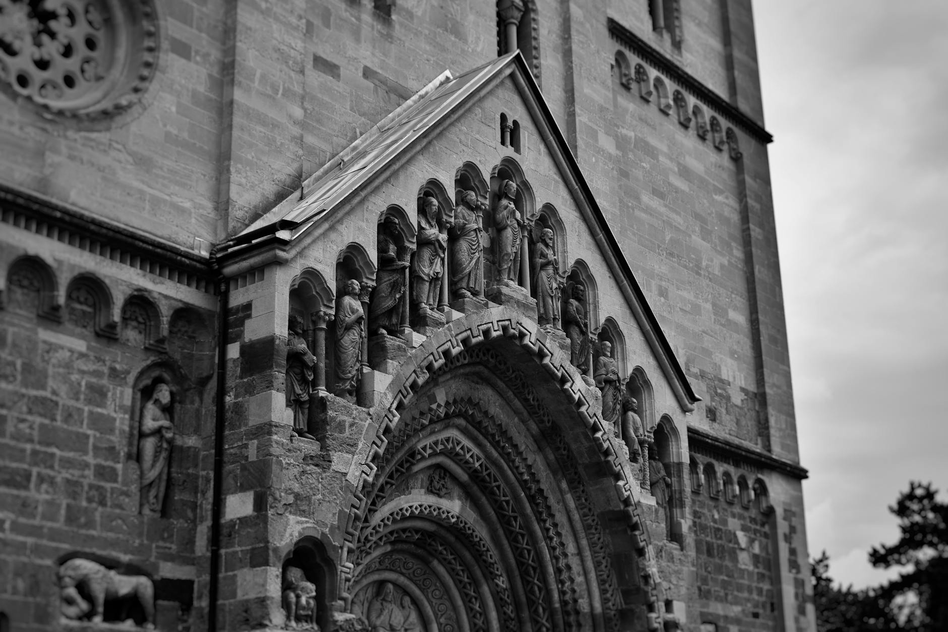 Nowa Zelandia bez auta: jak skutecznie podróżować autobusami, pociągami i autostopem