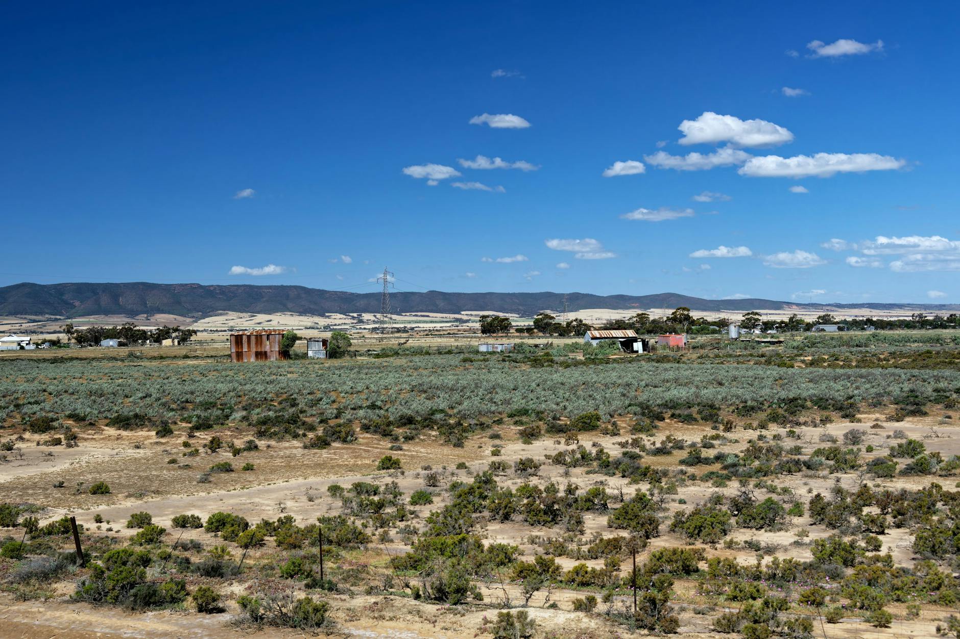 Australijski krajobraz wiejski z łagodnymi wzgórzami i błękitnym niebem